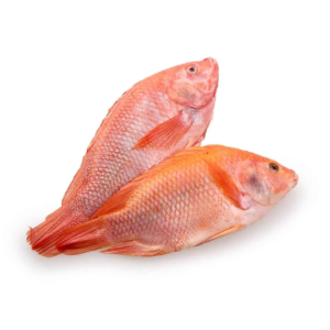 Mojarra Roja